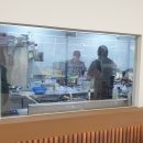 보문산공원로 | 보문산 불향가득 직화 쭈꾸미볶음 맛집 [보문산쭈꾸미] 내돈내산 후기