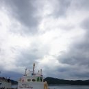 이엘관광농원 | 완도 생일도 풀빌라 이엘리조트,이엘관광농원 내돈내산