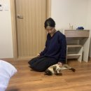 마랑재 | 평창 감성숙소 ‘마랑재’ 솔직후기