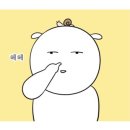 쎄씨 | [쎄씨부부 in 오사카] 2일 동안 이키나리 스테이크 2번 먹은 후기 (아베노 루시아스점/우메다 도야마점)