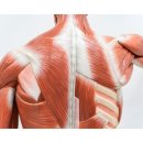 PT특별관 이미지