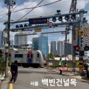 백일대 | 서울 용산역 근처 백빈건널목 나의아저씨 촬영지 땡땡거리 철길 사진 후기