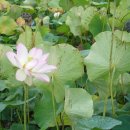 여로여인숙 이미지