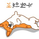 콜펜션