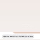 경북꽃집 - 고령군 월기1길 1 | 경북꽃집