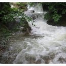 행복한 집 이미지