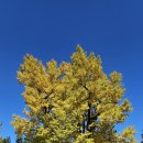 청주 영규대사 전장기적비 | <국립자연휴양림 탐방 44 – 상당산성 자연휴양림> 청주 중앙공원, 용두사지 철당간