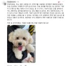 먹자 헤럴드경제
