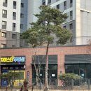 그린자이부동산공인중개사사무소 이미지