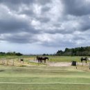 조은목장 이미지