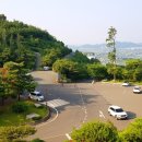 사랑다실 이미지