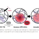 ■ 초고속 PCR 기술 개발, 코로나19 진단 5분 완료 이미지