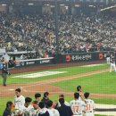 110 | 한화이글스 직관 후기 : 대전한화생명볼파크 110구역 앞 열 시야
