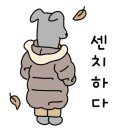 블루미파티하우스 이미지