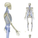 아이디얼 필라테스 이미지