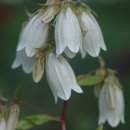 바위섬소도 이미지