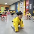 합기도 양우관 용두도장 이미지