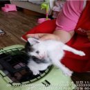 괴정주유소 이미지