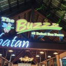 프리미엄아바호텔 | 보홀 육상투어 코스 짚라인 시간 반딧불 현지업체 후기