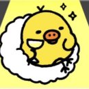 히요코 - 안산시 단원구 광덕3로 145-7 | 히요코
