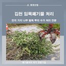 경북환경산업(주) | 김천 임목폐기물 처리 전지 가지 나무 벌목 뿌리까지 싹 수거 처리 완료 [ 김천 폐기물 ]