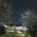 팝콘공인중개사사무소 이미지