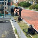 안청초등학교 이미지