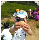 만석군농장 이미지