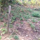 강동-길동-12 이미지