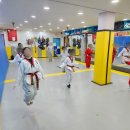 대룡태권도장 이미지