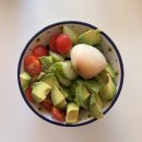 한국진돗개육종연구소 | 7월 프라하 일상 / 임당 검사, 유모차 구경, 중기 임산부는 뭘 먹고 살까