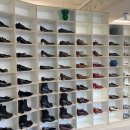 벨리아(BELLIA) 이미지