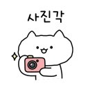 코리아피부미용협동조합