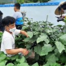 묘산초등학교 이미지