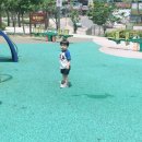 별헤는바다