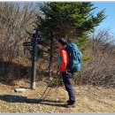 곰지산마트