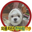 개똥이 이미지
