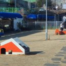 펫토피아(PETOPIA) 이미지