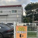 멍선생 애견카페 이미지