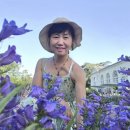 세계 최고의 식물원 큐가든 솔직 후기 — 기대와 현실의 차이