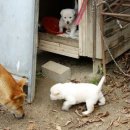 씨알농장 이미지