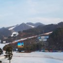 스키동