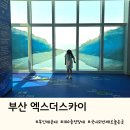 오륙도 조형물 | 부산 엑스더스카이, 인생샷 명소 100층 오륙도 시트와 위시클라우드