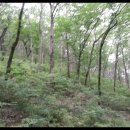 혁신솔비공인중개사사무소 이미지