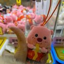 인형뽑기학과
