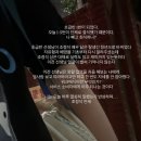 낯설만치 시원하고 청량한 여름 (26년 6월말)
