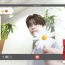 로즈플레르