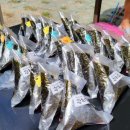 하선암 카라반 야영장 이미지