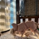 미소 한약국 이미지