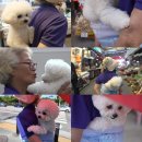 영배농장 이미지